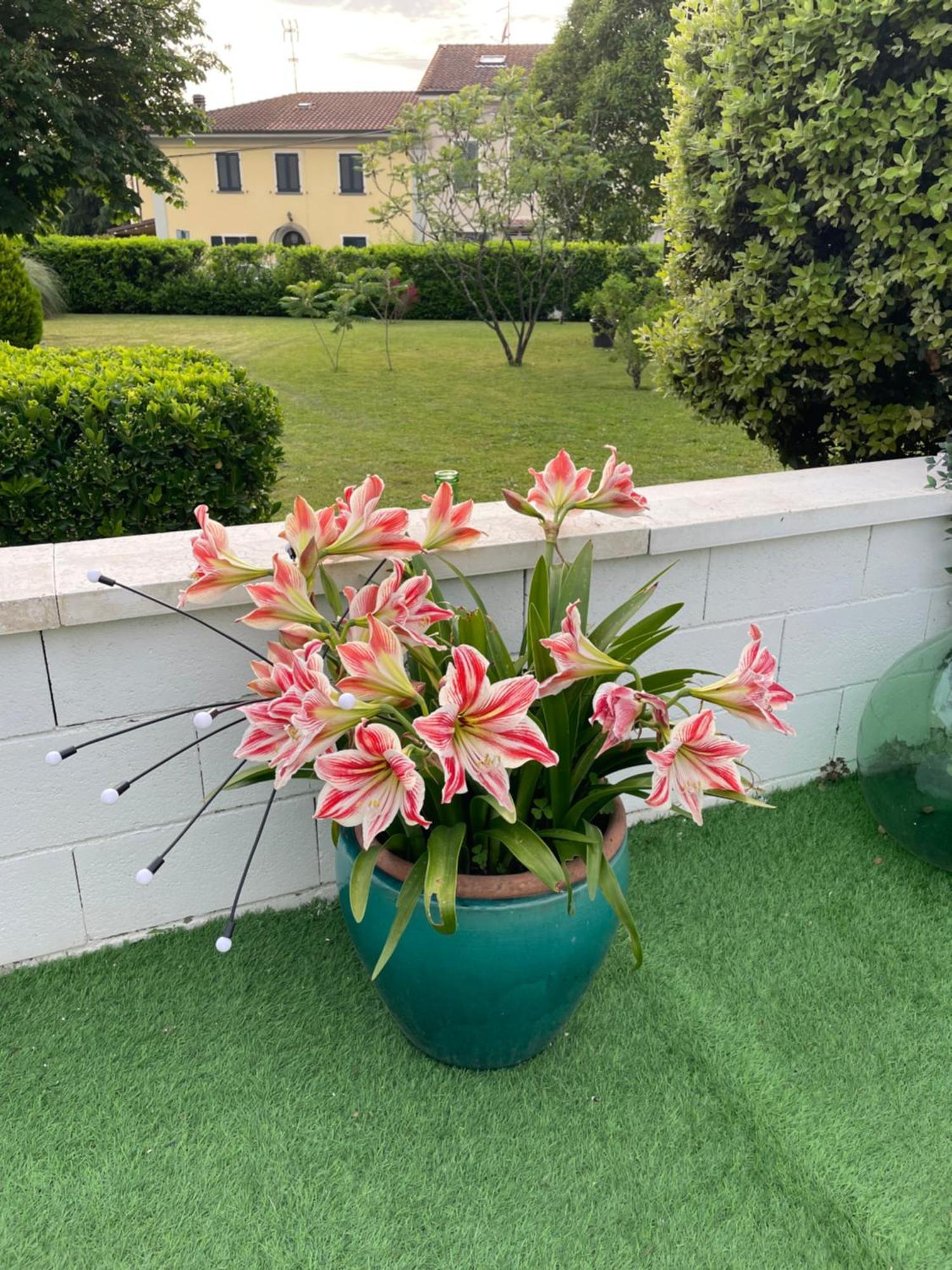 Appartamento Galleno house Esterno foto